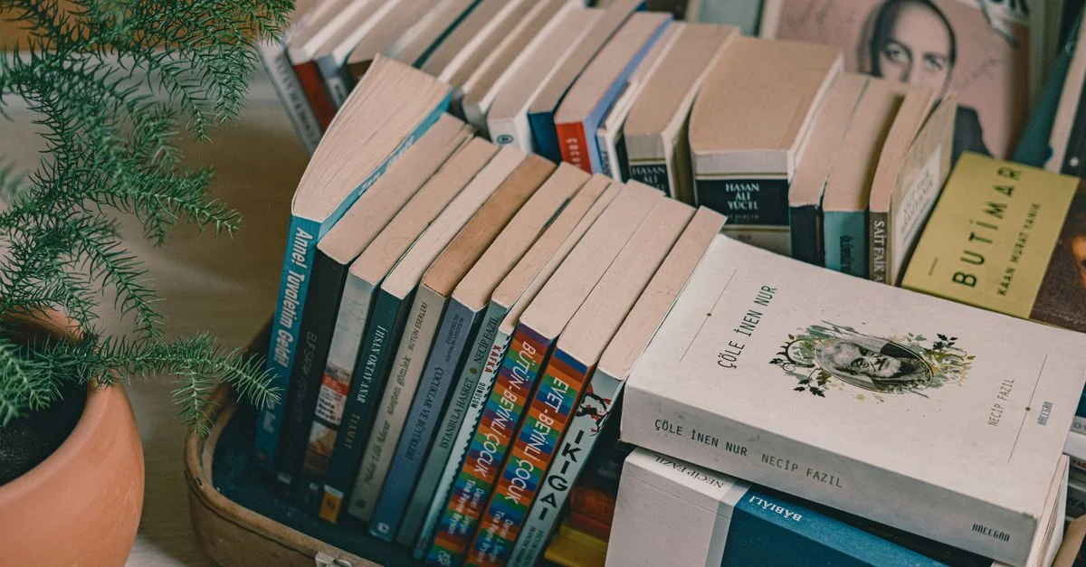 Une collection de livres soigneusement disposés dans une valise à côté d'une plante en pot sur une table en bois, créant une atmosphère intérieure accueillante.